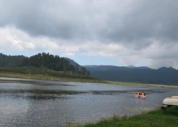 Cuidar el bosque y vivir de él: la apuesta de Conafor para el desarrollo forestal