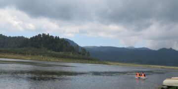 Cuidar el bosque y vivir de él: la apuesta de Conafor para el desarrollo forestal