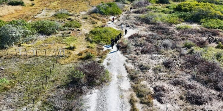 Santuario de vida silvestre convertido en un corral de engorda