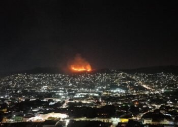 Lila Downs alza la voz por incendio cerca de Monte Albán; activan protocolos