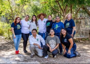 Blindarán a los loros de Yucatán ante tráfico ilegal y pérdida de hábitat