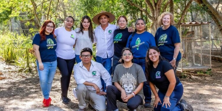 Blindarán a los loros de Yucatán ante tráfico ilegal y pérdida de hábitat