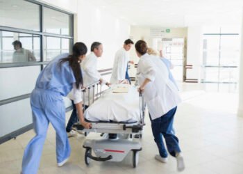 Alerta sanitaria: se confirman tres casos de gusano barrenador en humanos