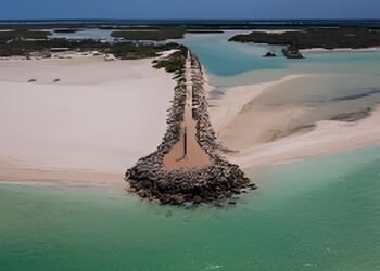 Chuburná Puerto tendrá el primer Jardín de Duna Costera de México