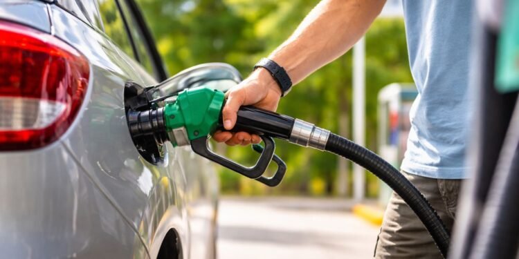 ¿Buscas gasolina a precio justo? Difunden mapa virtual para ubicar estaciones con el mejor costo