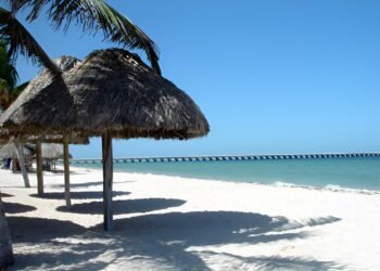Progreso se pone tropical con el “Festival del Coco 2026”