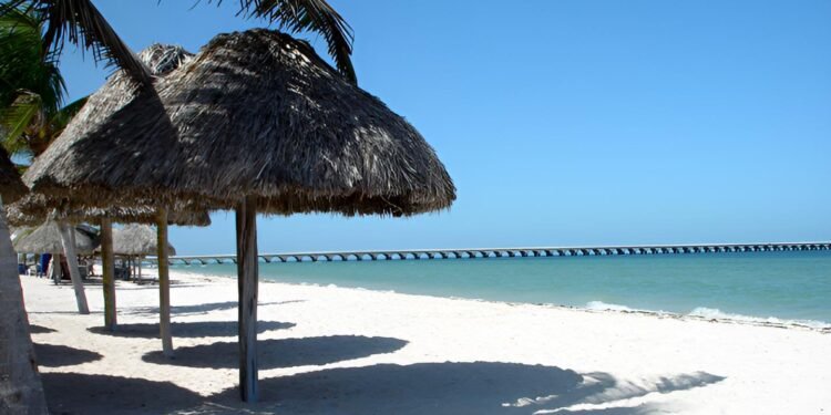 Progreso se pone tropical con el “Festival del Coco 2026”