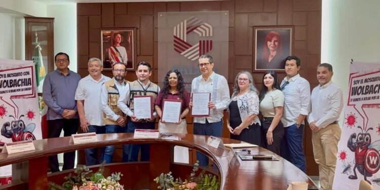 Suman esfuerzos regionales para combatir dengue y chikungunya