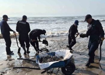 Activan cinco acciones por hidrocarburo en el Golfo; avanzan limpieza, apoyo a pescadores y vigilancia