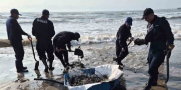 Activan cinco acciones por hidrocarburo en el Golfo; avanzan limpieza, apoyo a pescadores y vigilancia