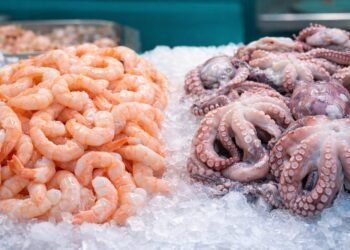 ¿Dónde comprar camarón y pulpo más barato en Cuaresma? Profeco da pistas para ahorrar