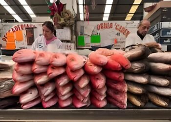 Feria del Pescado y los Mariscos llega al Mercado Lucas de Gálvez