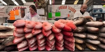 Feria del Pescado y los Mariscos llega al Mercado Lucas de Gálvez