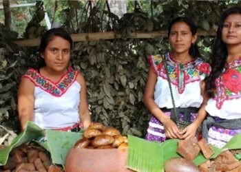 ¡Es oficial! México reconoce por primera vez al turismo comunitario