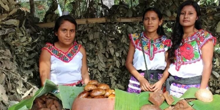 ¡Es oficial! México reconoce por primera vez al turismo comunitario