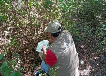 Conagua destapa pozos ilegales y descargas irregulares; clausuran a cinco