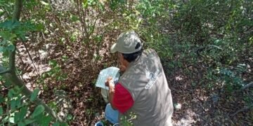 Conagua destapa pozos ilegales y descargas irregulares; clausuran a cinco