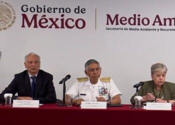 Derrame en Golfo de México: Apunta a vertimiento ilegal y factores naturales
