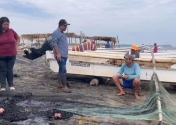 Del paraíso al petróleo: emergencia ambiental en costas del Golfo