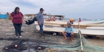Del paraíso al petróleo: emergencia ambiental en costas del Golfo