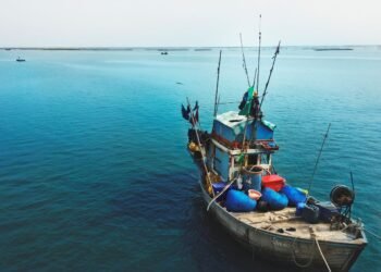 Inicia veda de langosta hasta el 1de junio; va operativo contra pesca ilegal