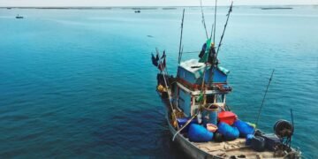 Inicia veda de langosta hasta el 1de junio; va operativo contra pesca ilegal