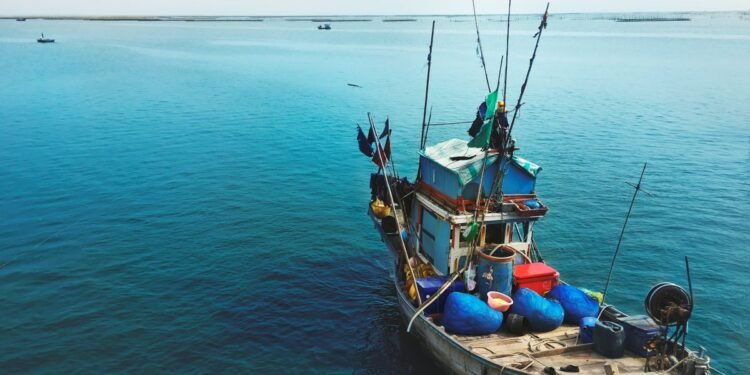 Inicia veda de langosta hasta el 1de junio; va operativo contra pesca ilegal