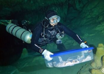 INAH estudia restos humanos hallados en cuevas de Quintana Roo