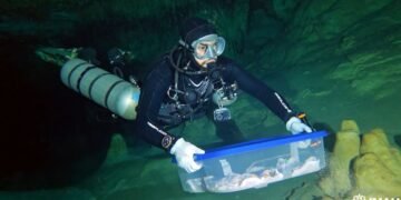 INAH estudia restos humanos hallados en cuevas de Quintana Roo