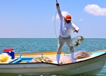 Pescadores de Yucatán deben recoger su tarjeta Bienpesca; estas son las fechas y municipios