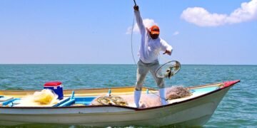 Pescadores de Yucatán deben recoger su tarjeta Bienpesca; estas son las fechas y municipios