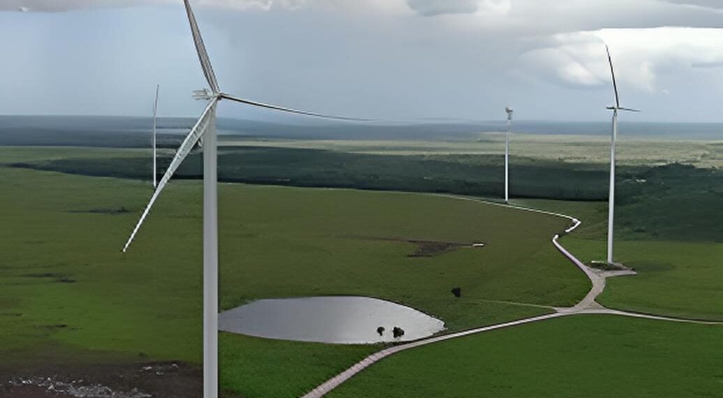 Peto entra a la era solar con proyecto de 45 mdd para parque fotovoltaico