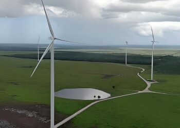 Peto entra a la era solar con proyecto de 45 mdd para parque fotovoltaico