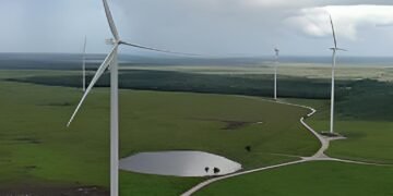 Peto entra a la era solar con proyecto de 45 mdd para parque fotovoltaico