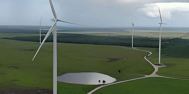 Peto entra a la era solar con proyecto de 45 mdd para parque fotovoltaico