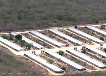 Exigen declaratoria de emergencia socioambiental en la Península tras informe de la ONU