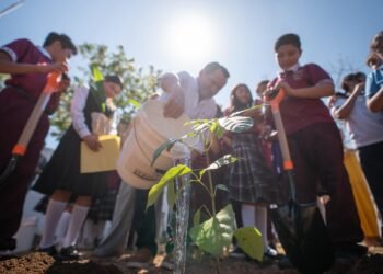 Inicia “Renacimiento Verde” para reforestar escuelas