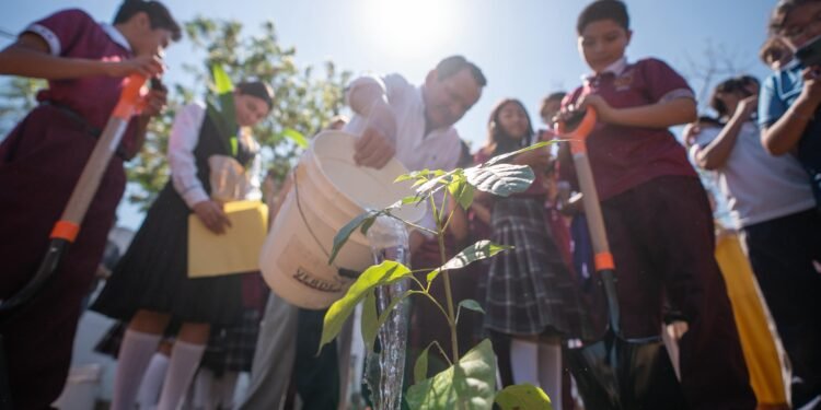 Inicia “Renacimiento Verde” para reforestar escuelas