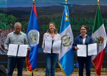 Gran Selva Maya: cooperación regional busca proteger biodiversidad y comunidades