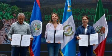 Gran Selva Maya: cooperación regional busca proteger biodiversidad y comunidades