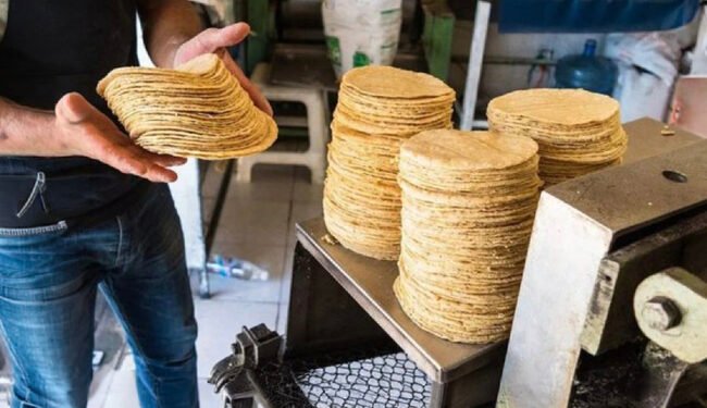 Polémica por tortillas en hieleras obliga a Profeco a aclarar sus facultades