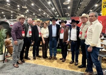 Yucatán se proyecta ante el mundo ganadero con el Congreso Brahman