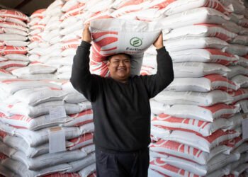 Lleva Agricultura fertilizantes gratuitos a 20 estados; despliegue nacional busca fortalecer el campo