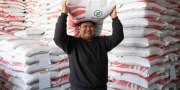 Lleva Agricultura fertilizantes gratuitos a 20 estados; despliegue nacional busca fortalecer el campo