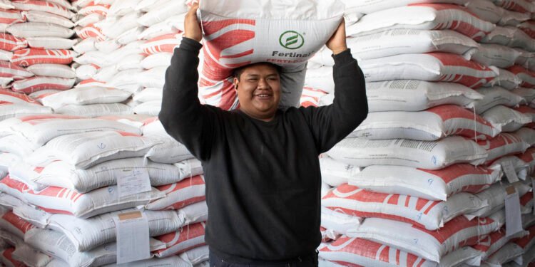 Lleva Agricultura fertilizantes gratuitos a 20 estados; despliegue nacional busca fortalecer el campo