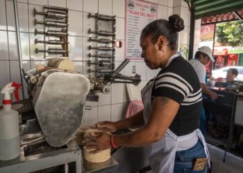 ¿Subirá la tortilla? Gobierno e industria descartan aumentos