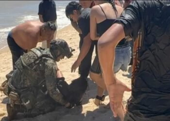 Heroico rescate en Baja California: marino salva a bañista en El Malecón