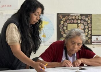 INEA va por 4 millones de personas sin alfabetizar en México