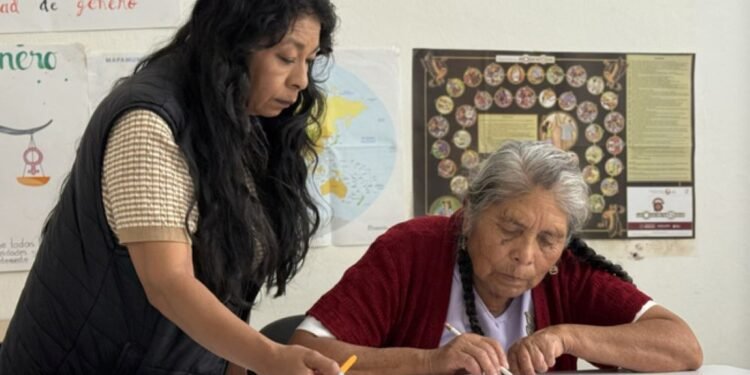 INEA va por 4 millones de personas sin alfabetizar en México