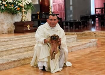 Perrita y su cachorro se unen a la misa en Hunucmá